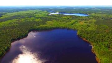 Фотографии Загородные дома Помещичья усадьба под Брестом г. Dubrava (Беларусь) №3 Фото Загородные дома Помещичья усадьба под Брестом г. Dubrava 3